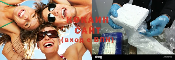 тгк Алзамай